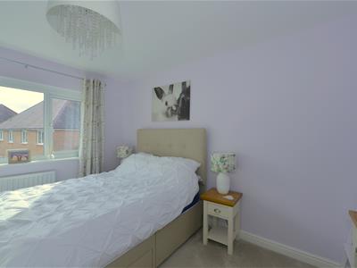 Picture 20